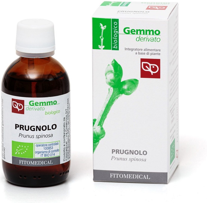 PRUGNOLO Macerato Glicerico 50ML BIO