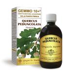QUERCIA 500ML ANALCOLICO GEMMO 10+