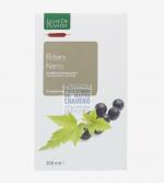 Ribes nero bio 20 ampolle 15ml