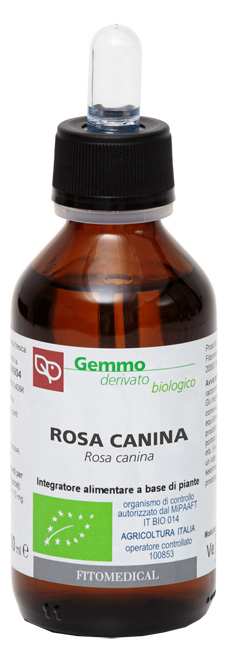 ROSA CANINA Macerato Glicerico BIO 100ML
