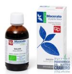Salvia Tintura Madre Bio 50ml