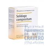 SOLIDAGO Compositum 10 fiale 2,2ml HEEL