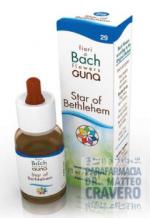 STAR OF BETH GUN Gocce 10ml