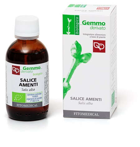 SALICE AMENTI Macerato glicerico 50ML BIO