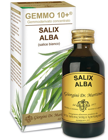 SALICE BIANCO ANALCOLICO GEMMO 10+ 100ML