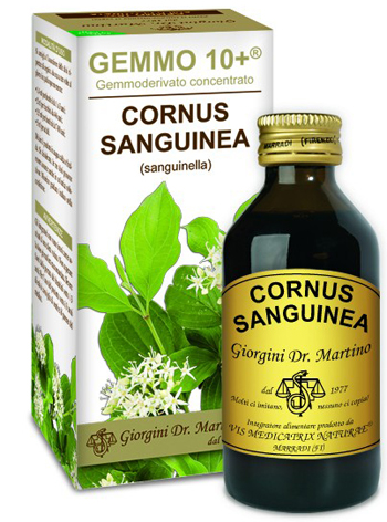 CORNUS SANGUINEA 100ML ANALCOOLICO GEMMODERIVATO