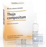 THUJA COMPOSITUM GUNA HEEL 10 FIALE