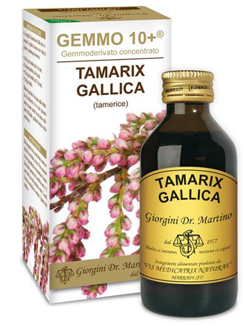TAMERICE ANALCOLICO 100ml GEMMO10+