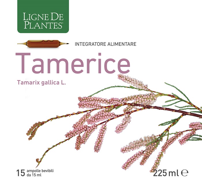 TAMERICE 15 ampolle 15ML