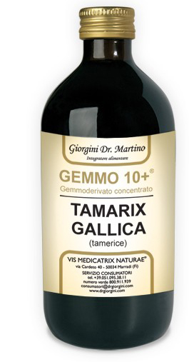 TAMERICE ANALCOLICO 500ml GEMMO10+