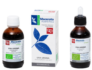 UVA URSINA Tintura Madre 50ML BIO