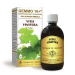 VITE GEMMO10+ 500ML