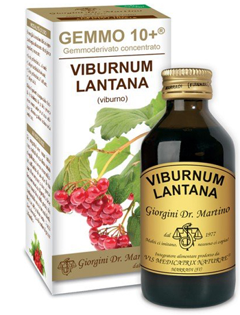 VIBURNO LIQUIDO 100ML