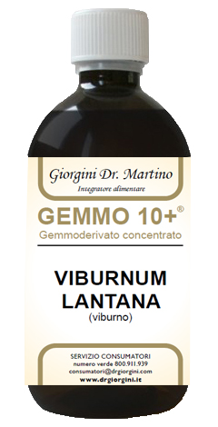 VIBURNO LIQUIDO 500ML